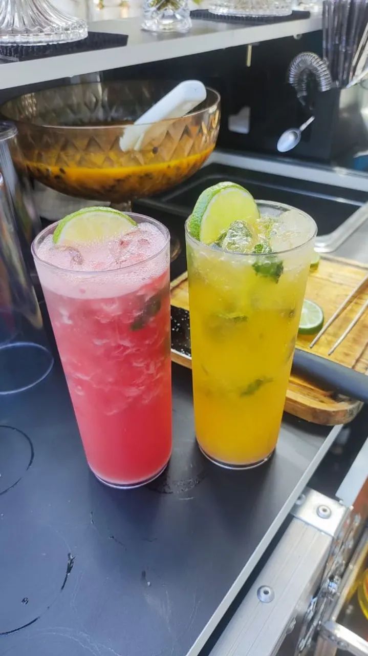 Barman Profissional - Foto 2
