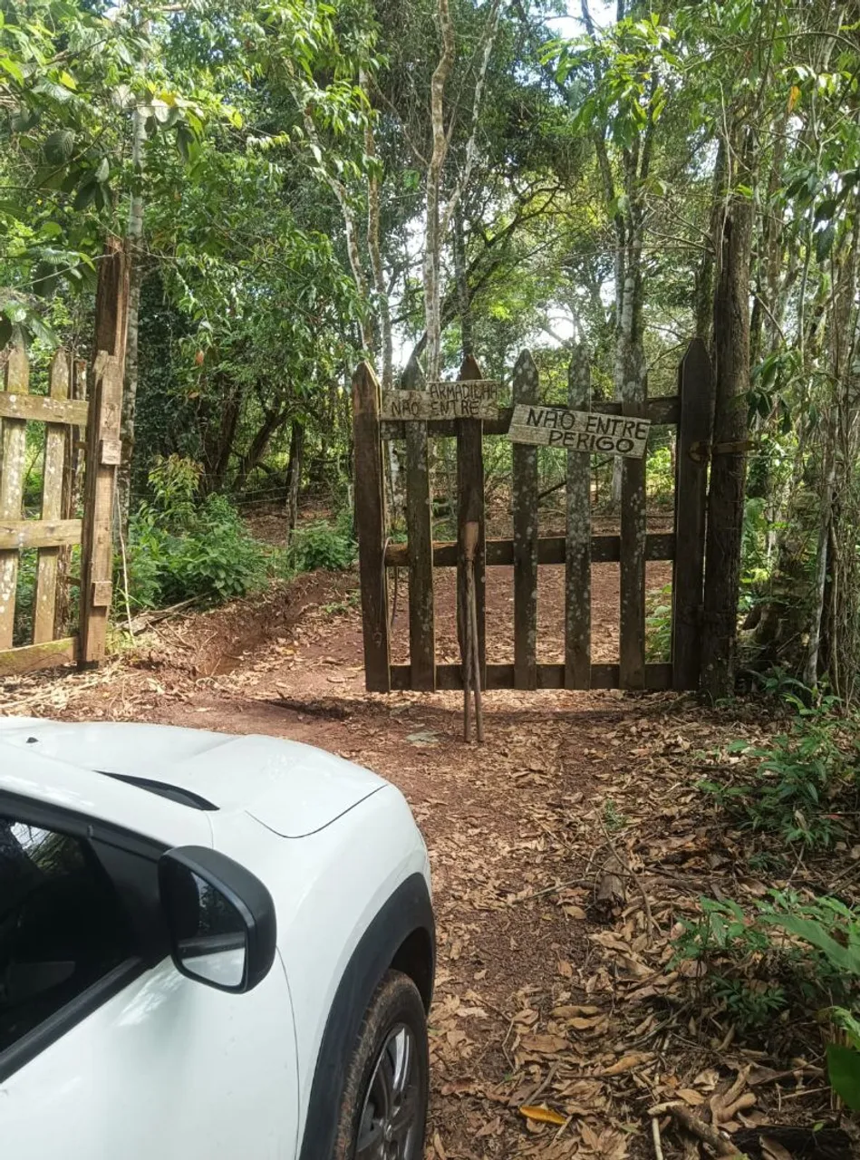 Arrendo para engorda área 50ha São Francisco de Itá