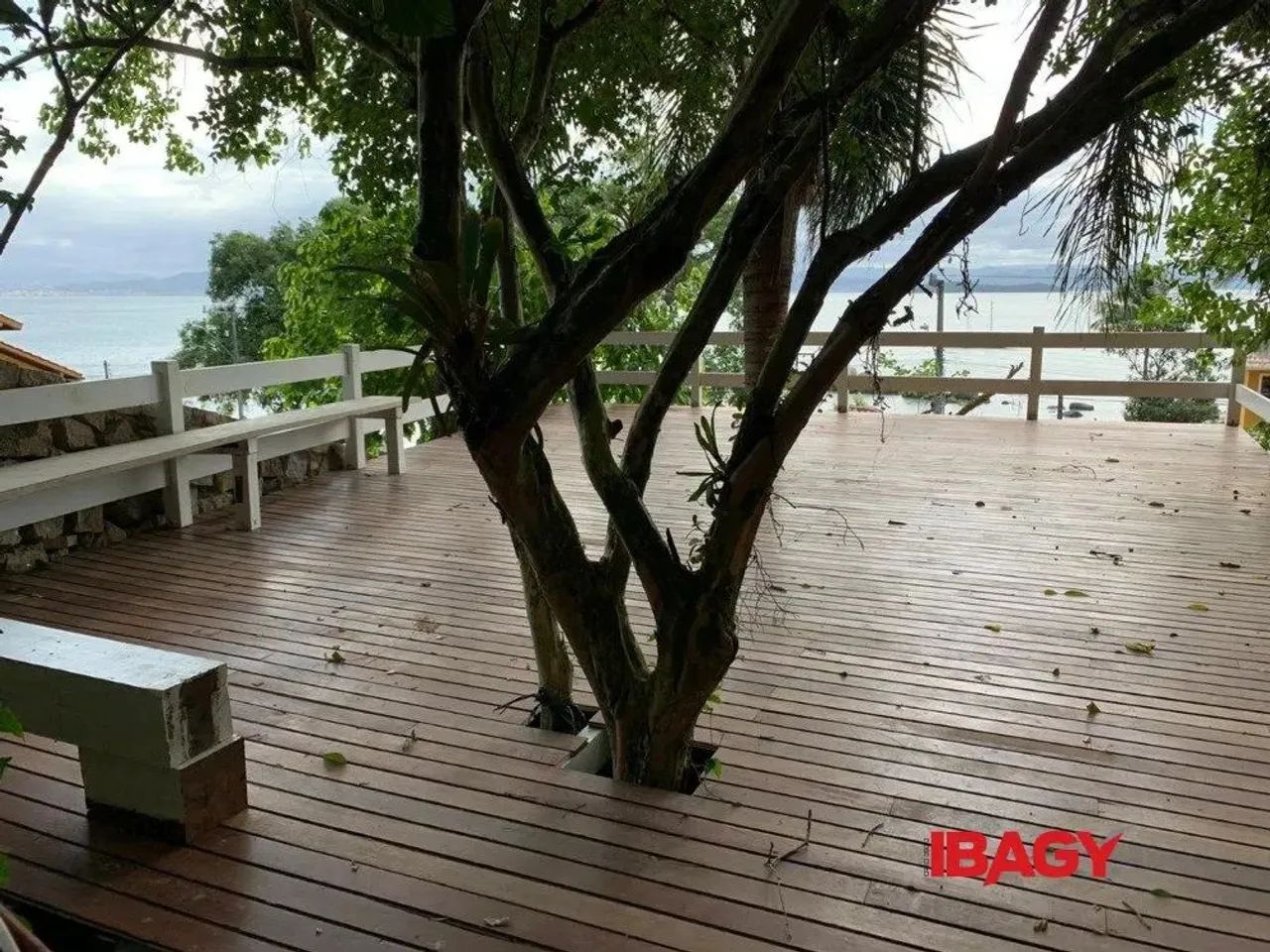 Oportunidade! Casa em Sambaqui - Florianópolis - Foto 2