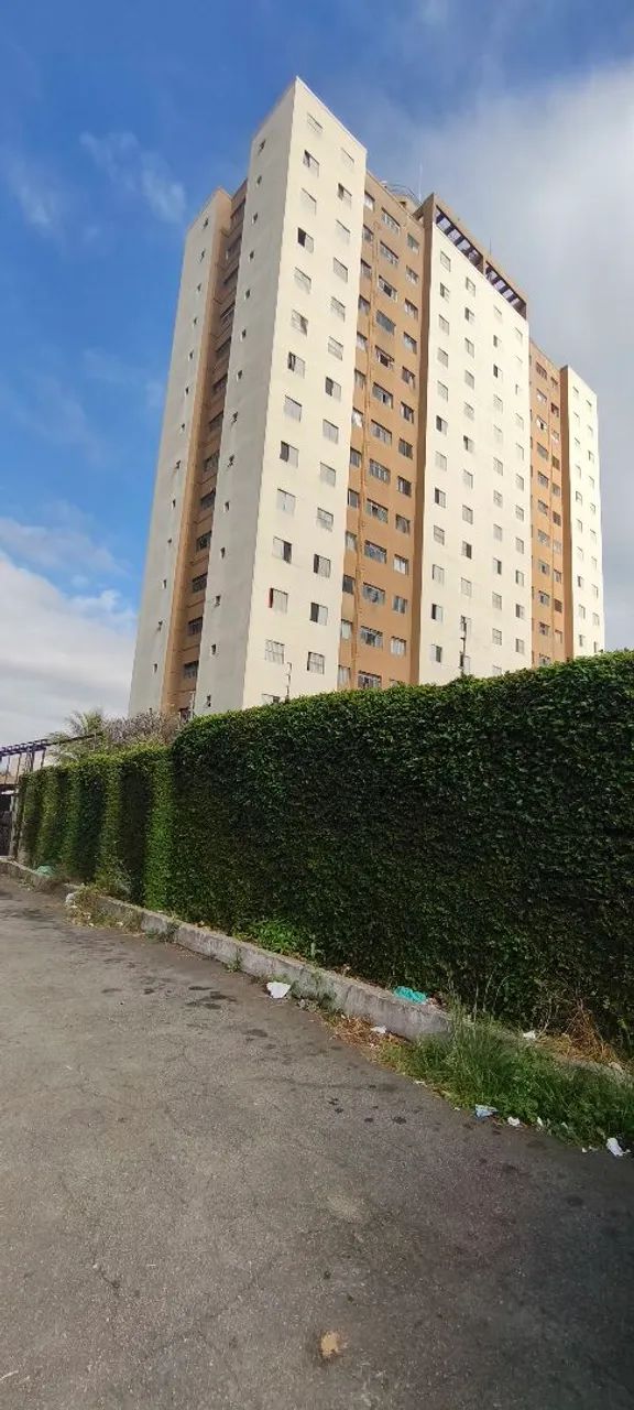 Foto - São Paulo - Limão