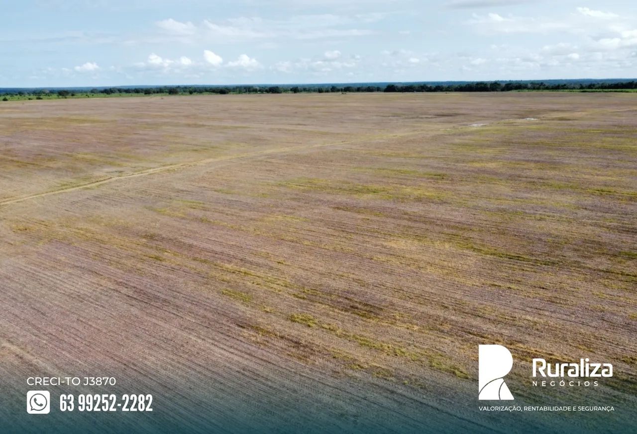 Fazenda em exploração agrícola, Vale do Araguaia - TO - Foto 4