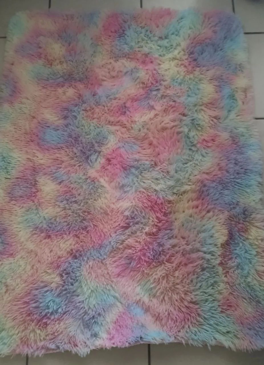 Tapete Shaggy Multicolorido - Decore com Estilo!