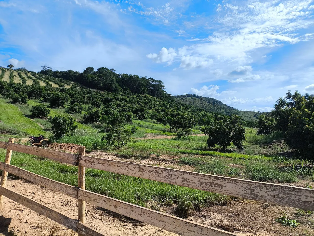 Fazenda em produção em Afonso Cláudio
