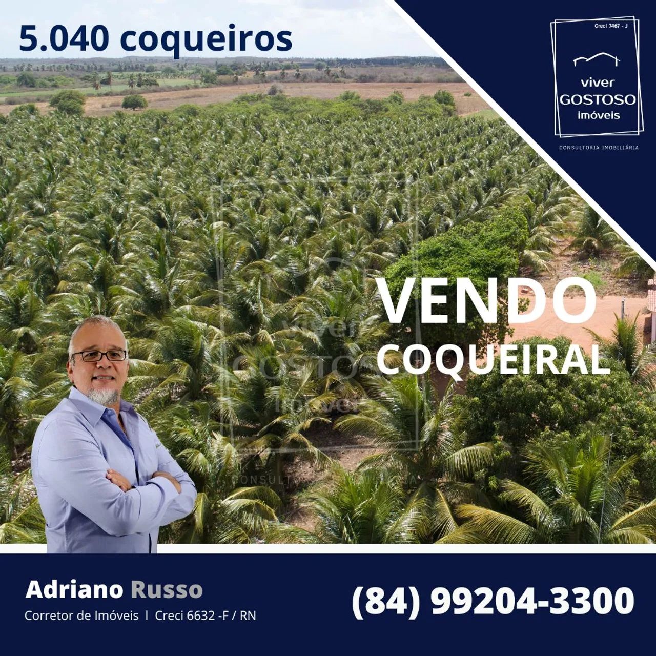 COQUEIRAL em produtividade à 11km do Centro de São Miguel do Gostoso - RN