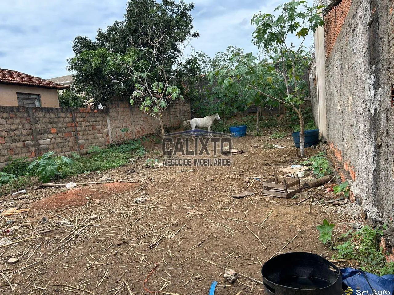 TERRENO BAIRRO MANSOUR - Foto 5