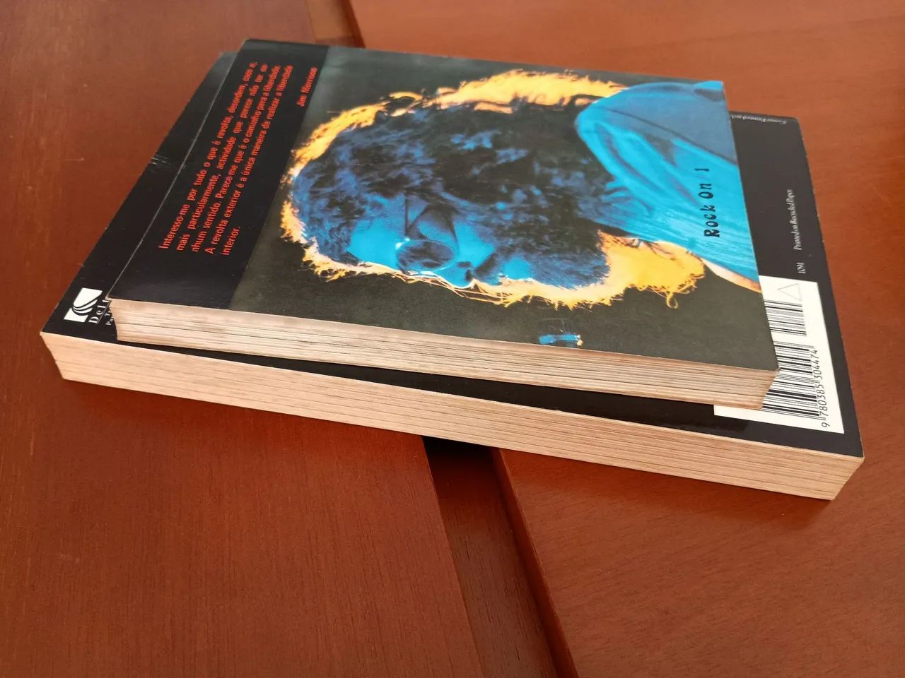 Livros The Doors  - Foto 4