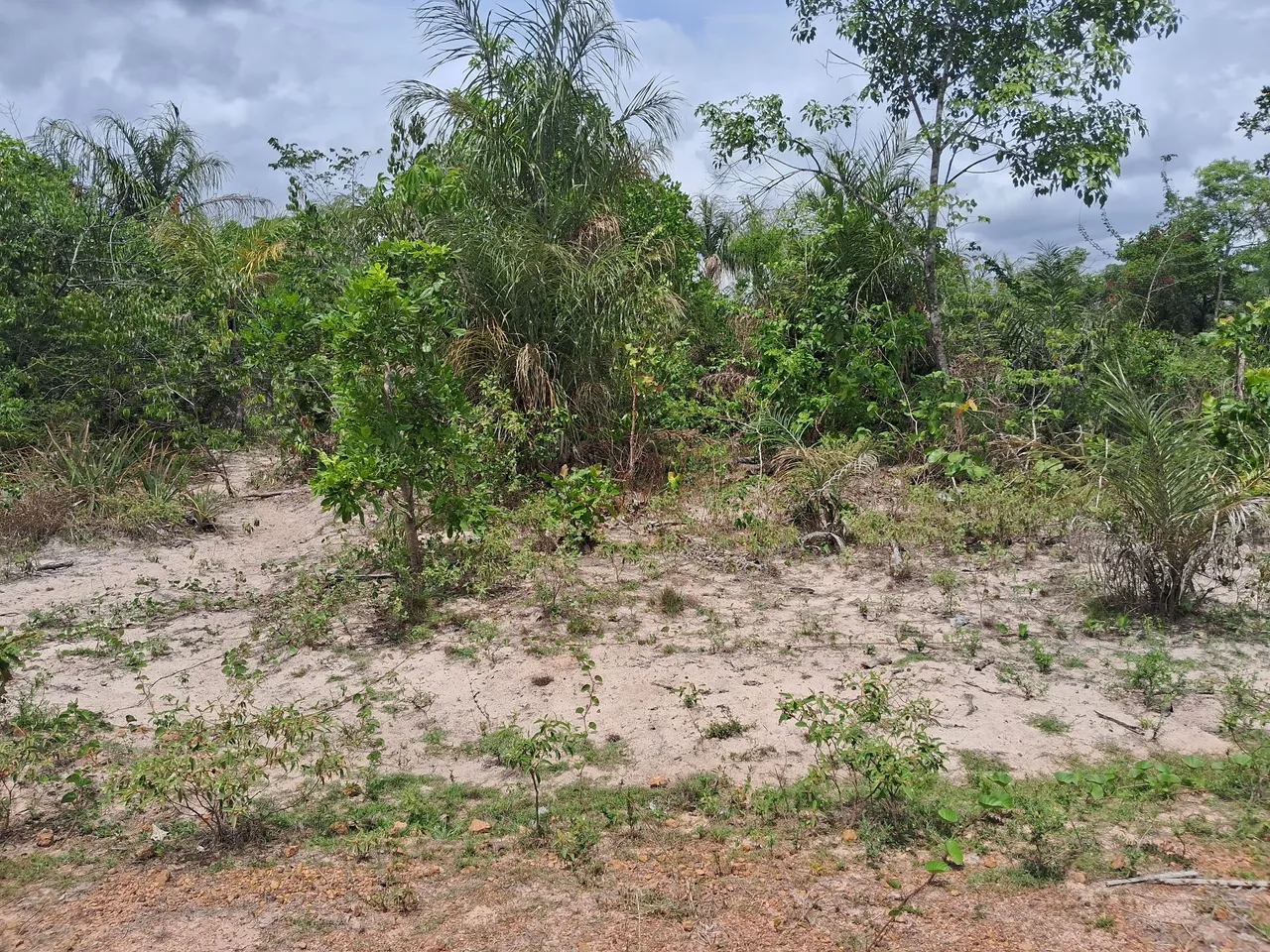 Terreno quitado em Altos PI. Plano, com energia, água e fácil acesso