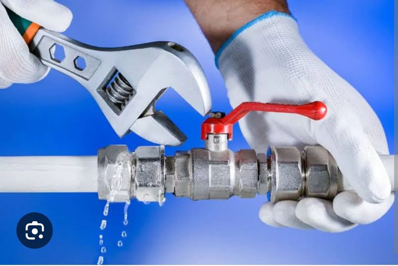 Serviços Domésticos em geral. - Foto 5