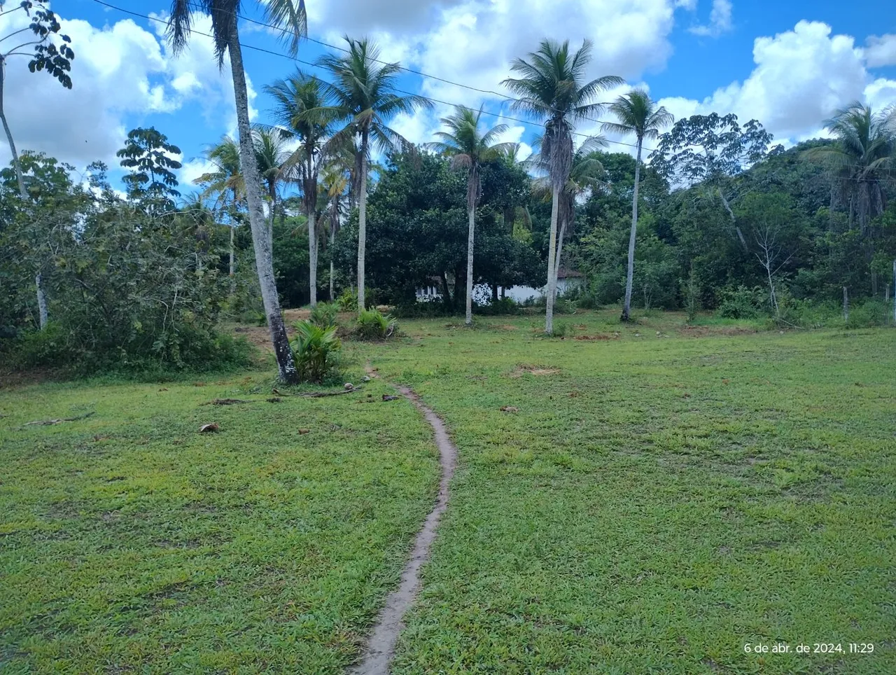 vende-se sítio na região de aldeia, com água e muitas árvores frutíferas