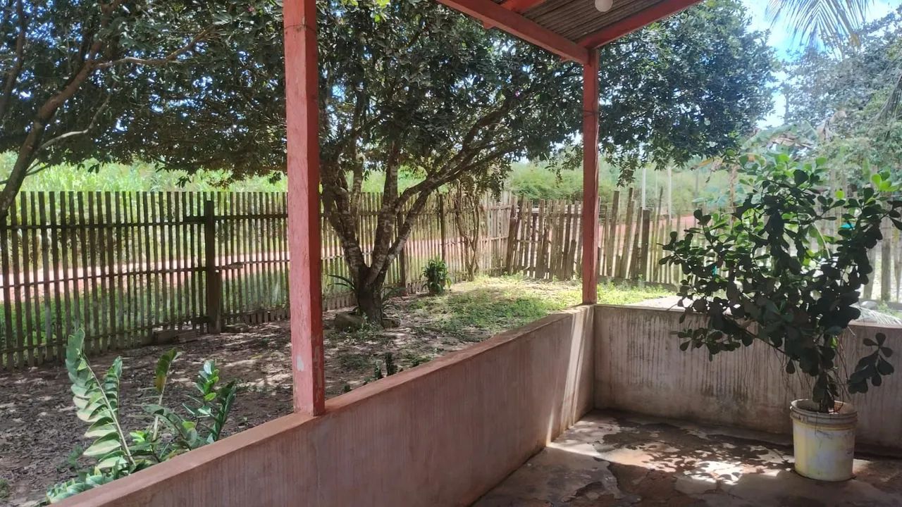 foto - Santarém - Área Verde