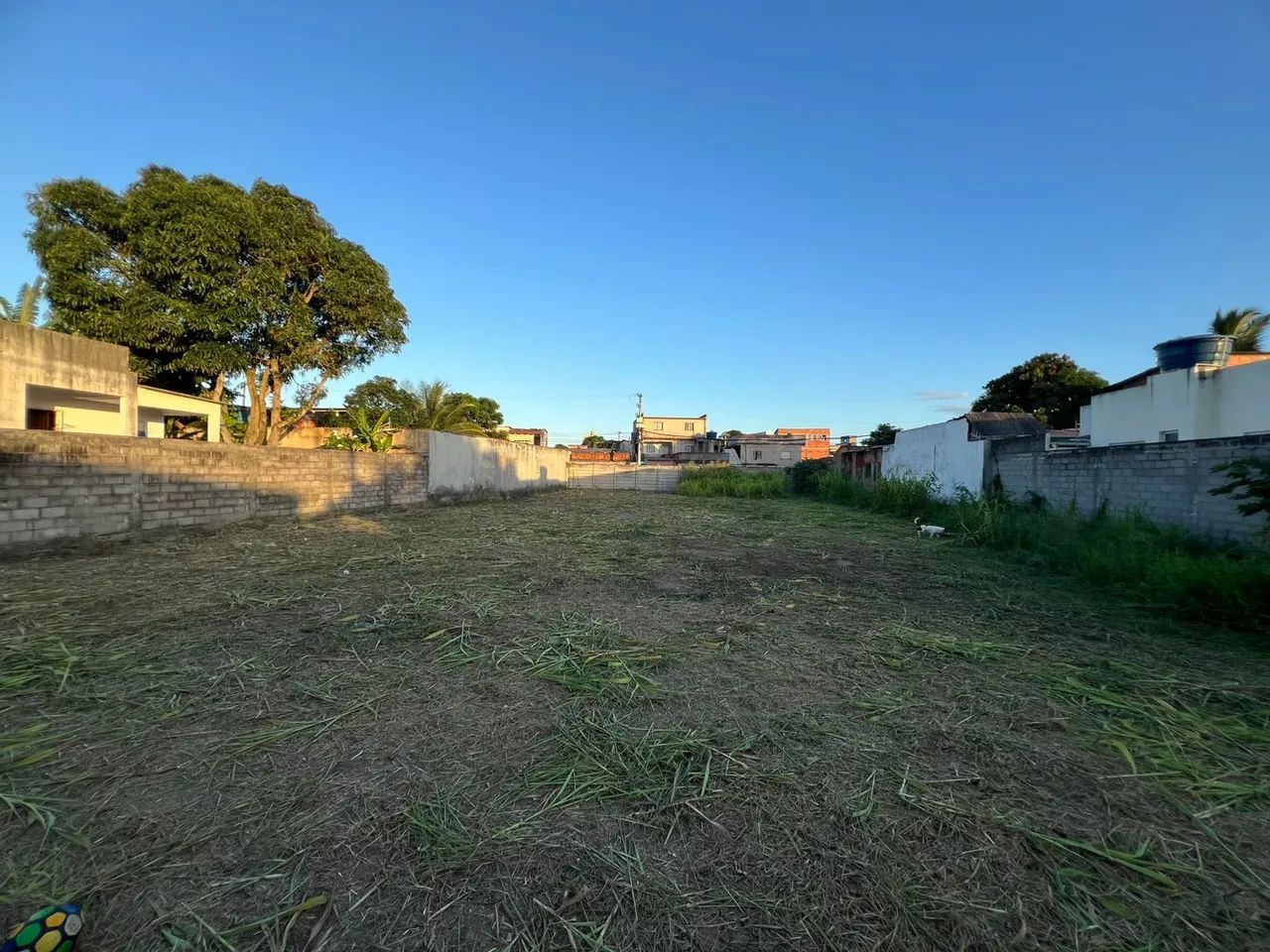 Limpeza de terrenos (roçadeira) - Foto 4