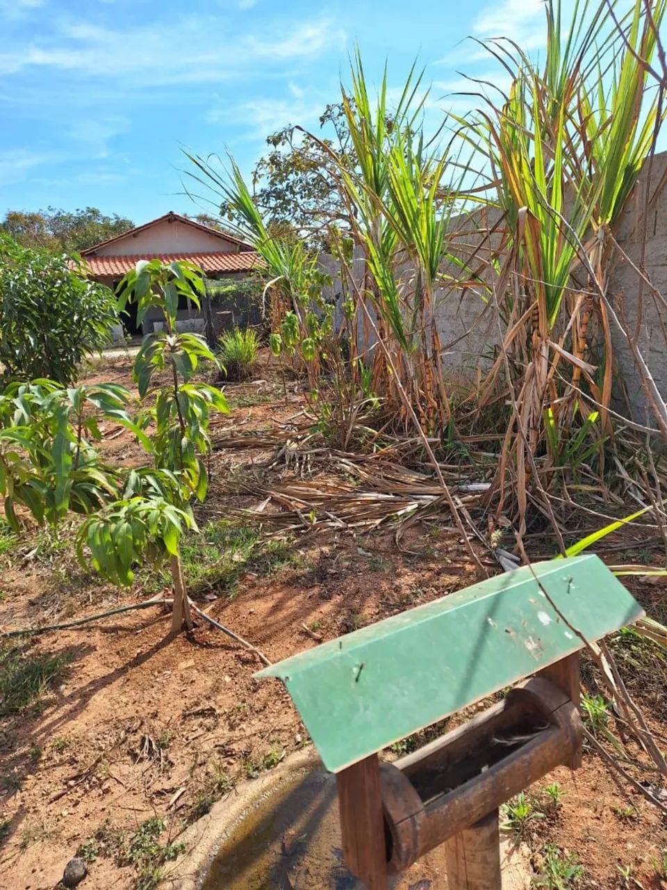 CHÁCARA À VENDA EM CAMPO ALEGRE - ESMERALDAS/MG - Foto 5