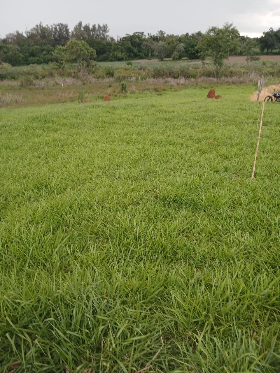 Terreno à Venda - Cesário Lange / SP - Foto 3