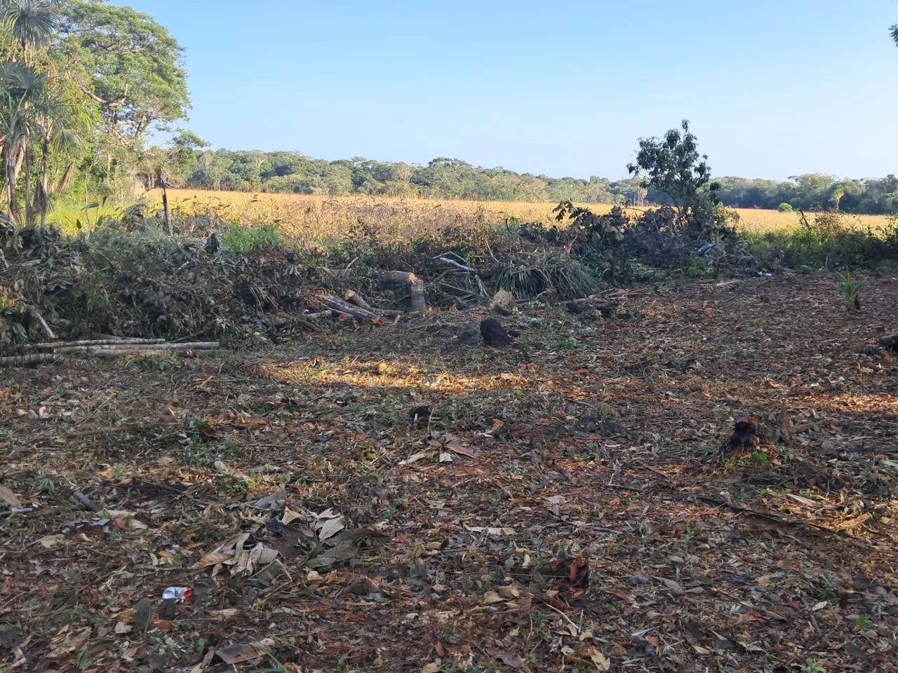 Terreno  - Foto 3