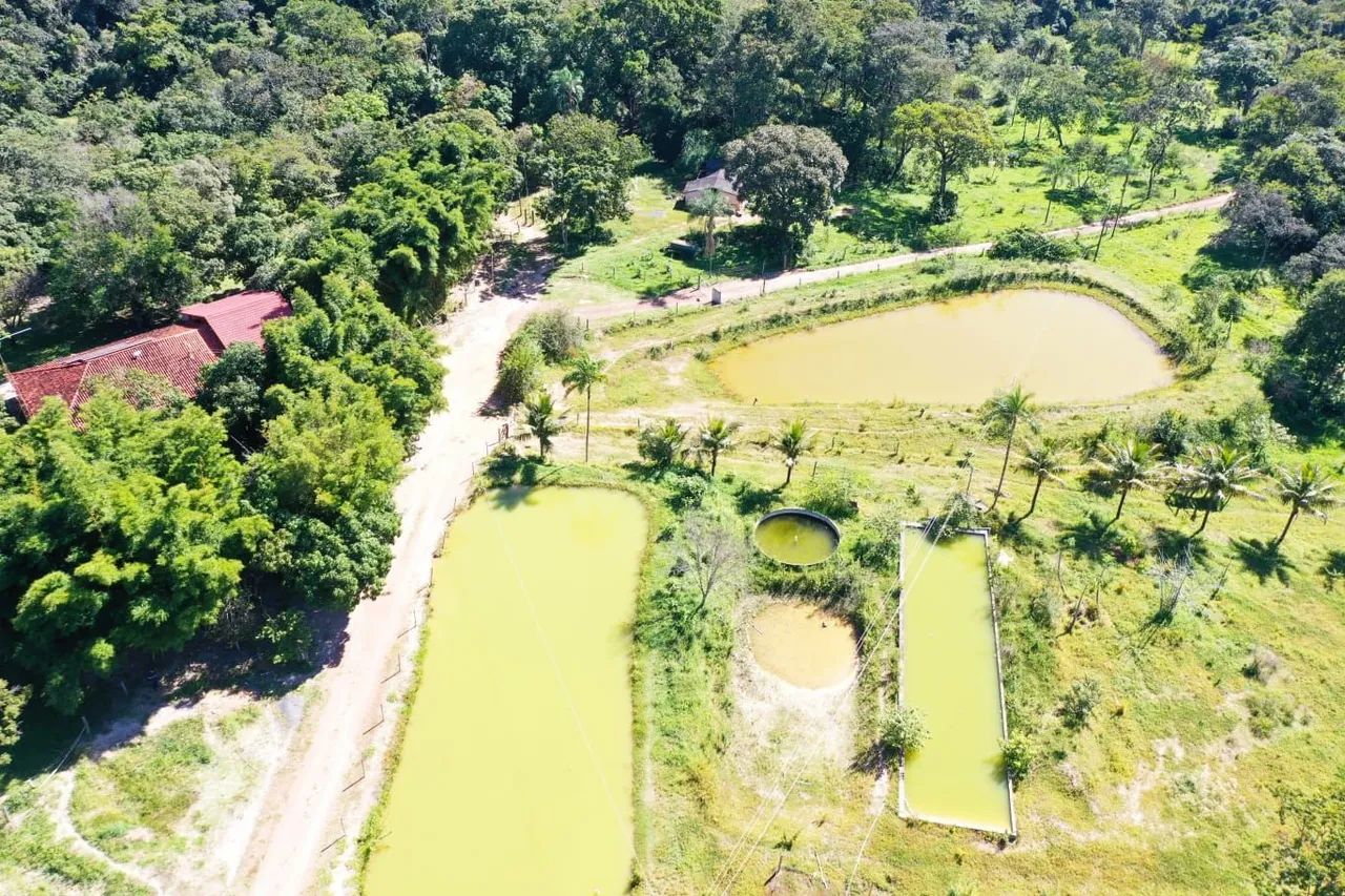 Fazenda 96 alqueires Planaltina Goias - Foto 5