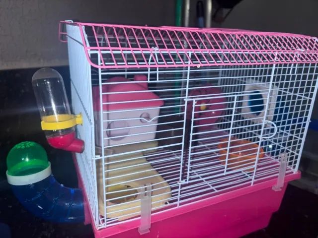 Casinha de hamster  - Foto 2