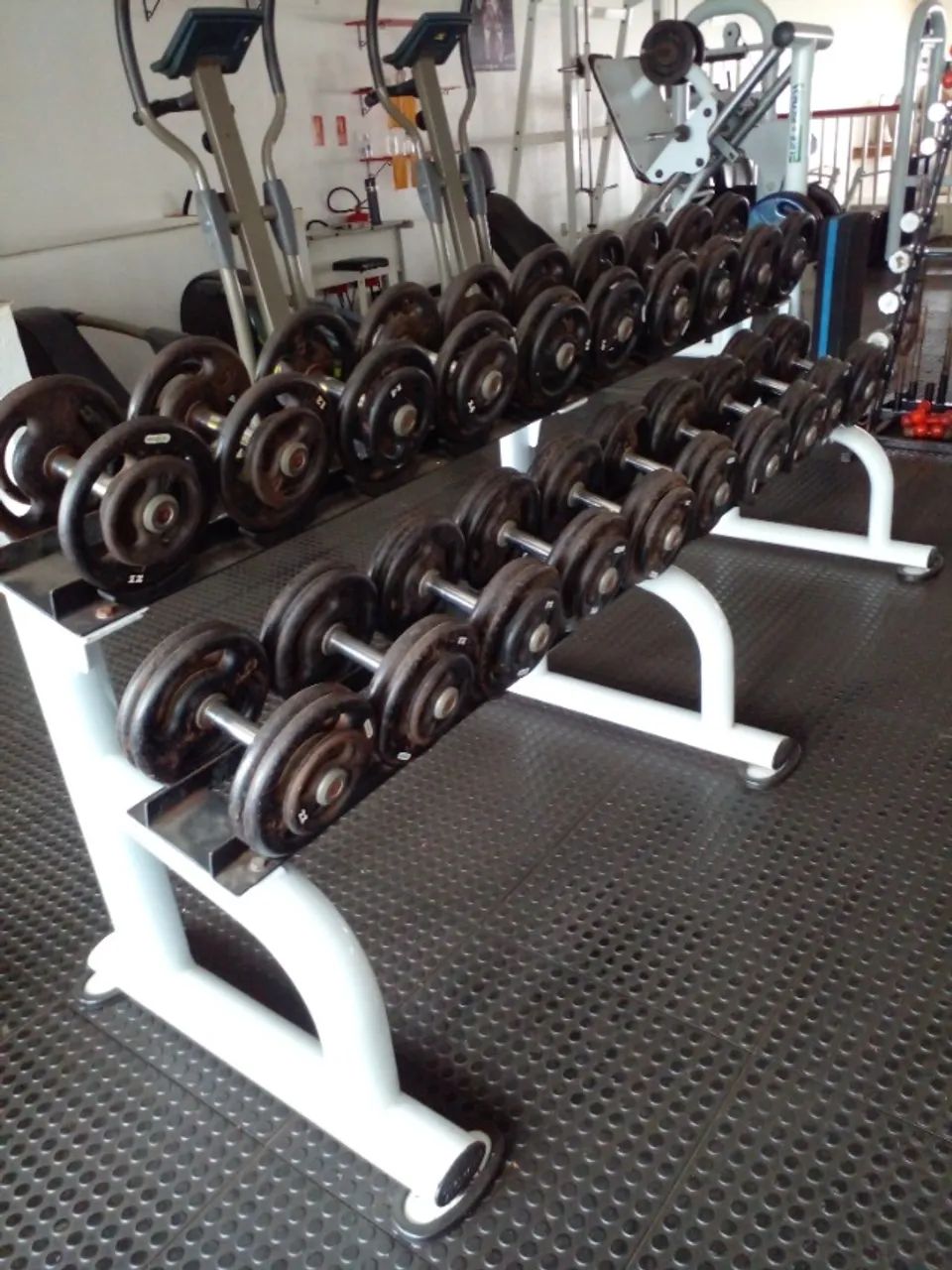 Dumbell + Suporte  - Foto 2