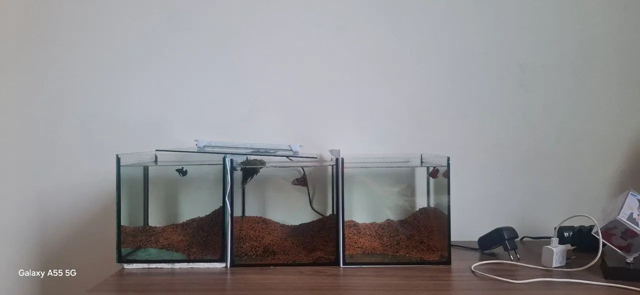 Aquario 20x20x20 