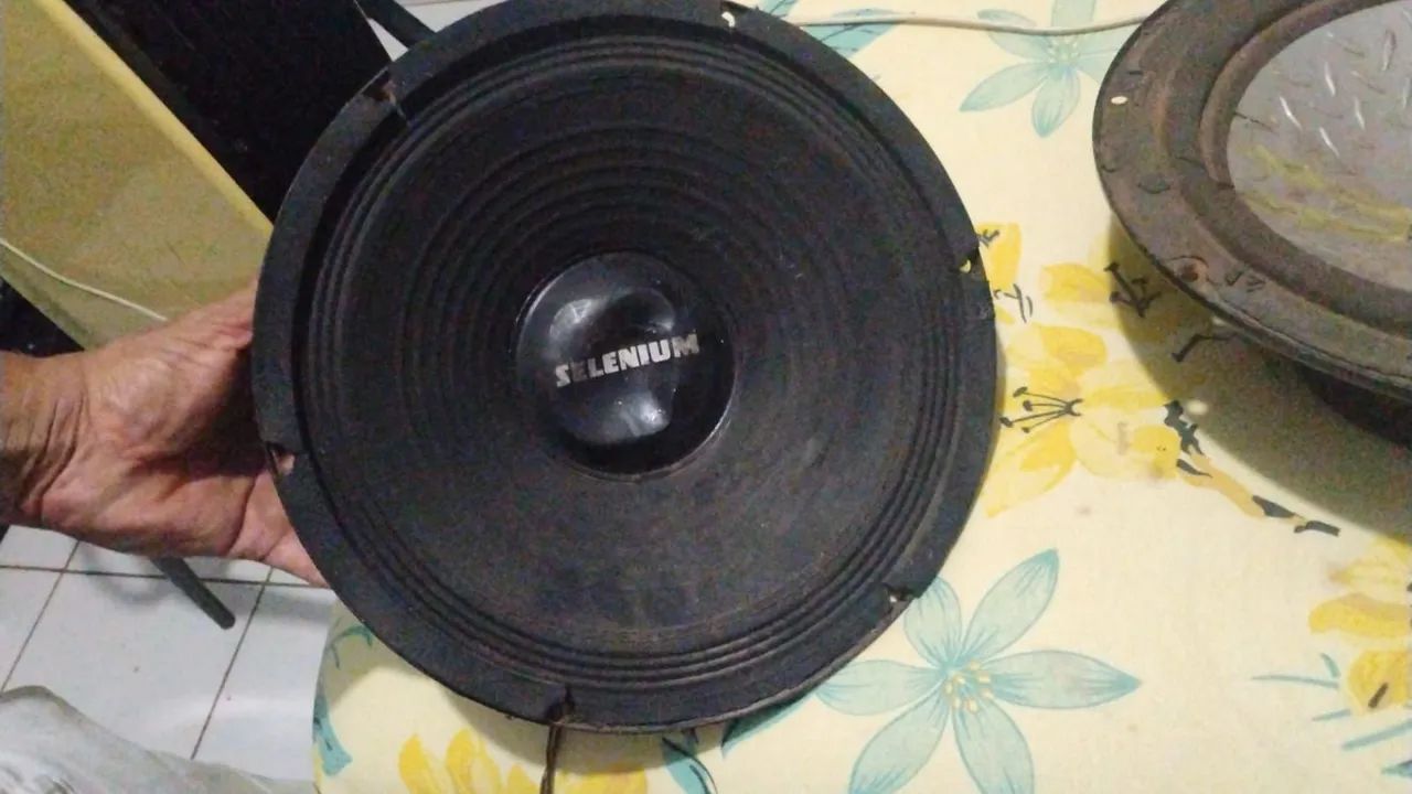 Alto falante  grave pinner e um selenum