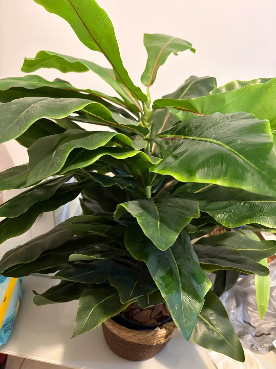 Vaso de planta - Decoração  - Foto 4