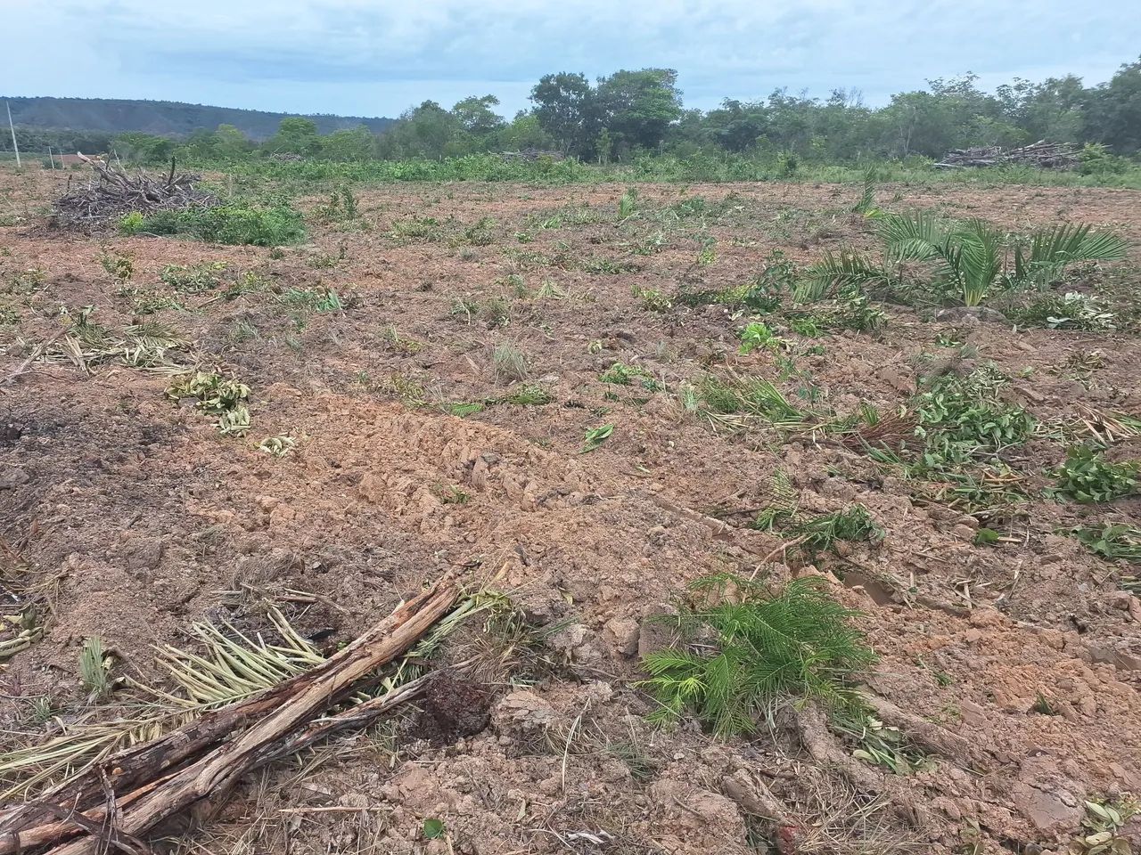 Área para arrendamento - Foto 2