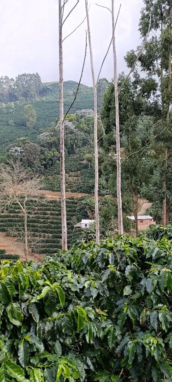casa terreno mini chácara galpão  - Foto 4