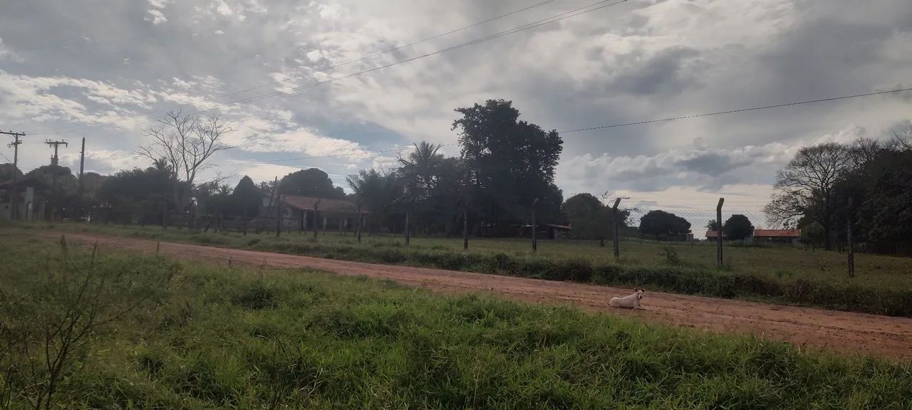  CHÁCARA  - Foto 5