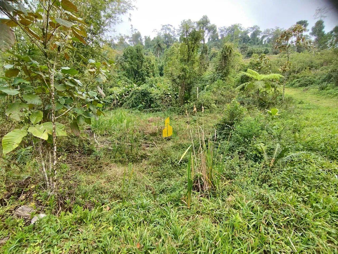 Terreno em Rodeio 32 - Foto 4