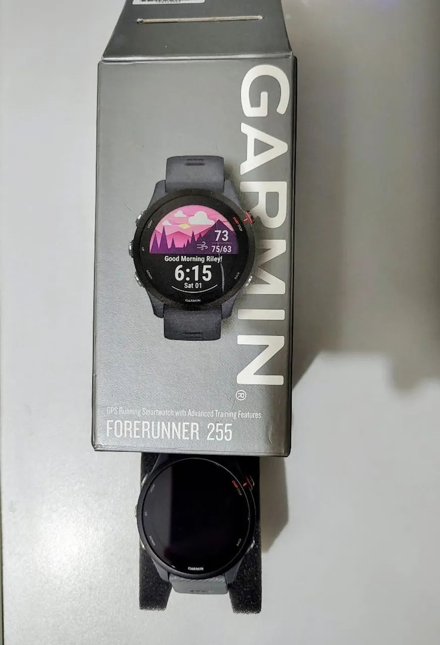 Garmin 255 