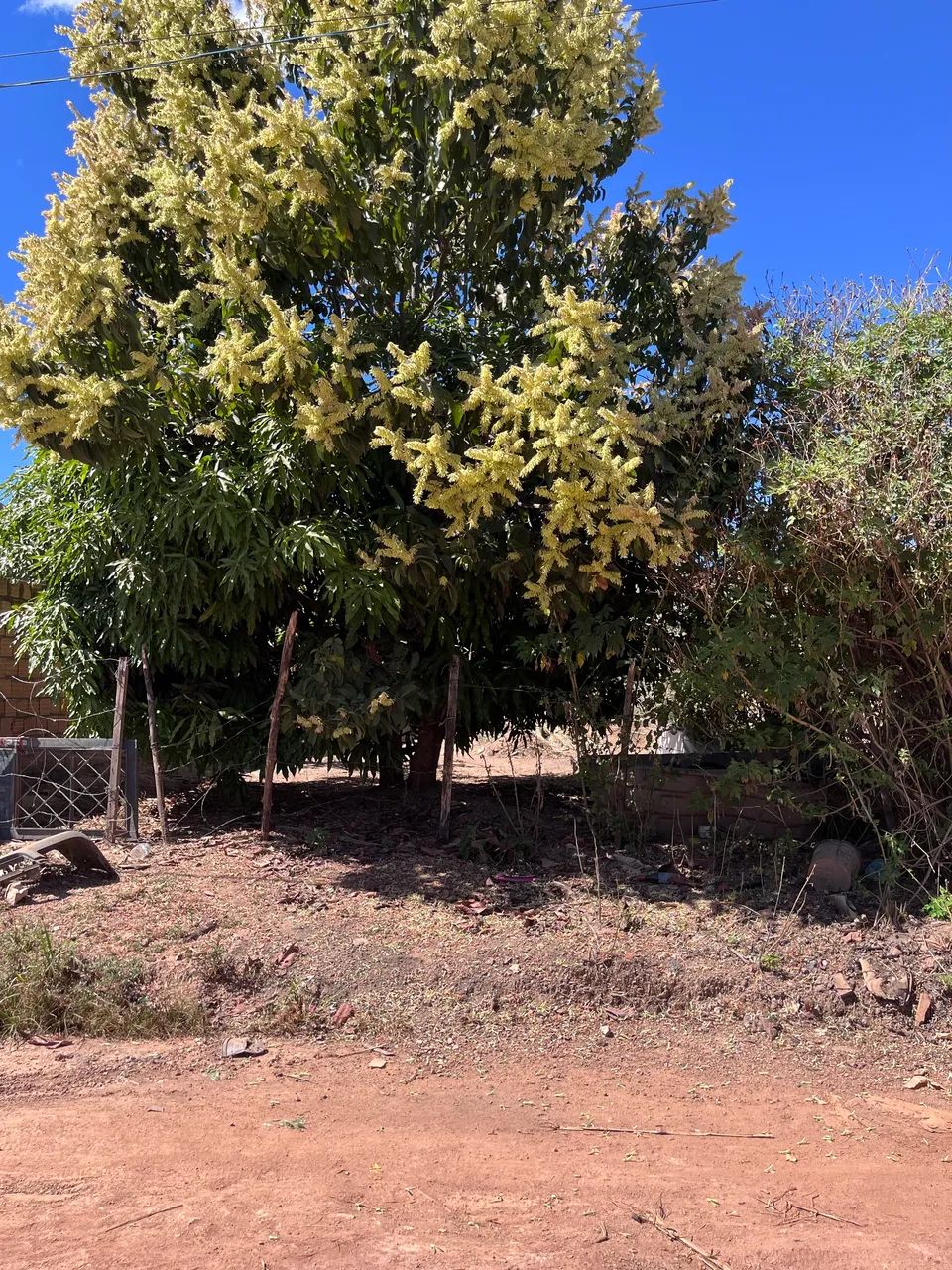 VENDO OU TROCO  - Foto 2