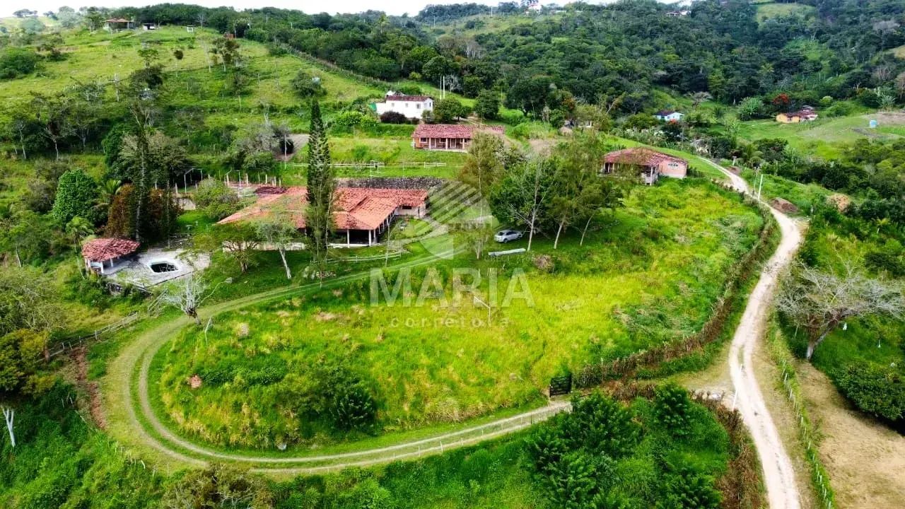 Sítio com 12,4 hectares à venda em Chã Grande/PE! - Foto 3