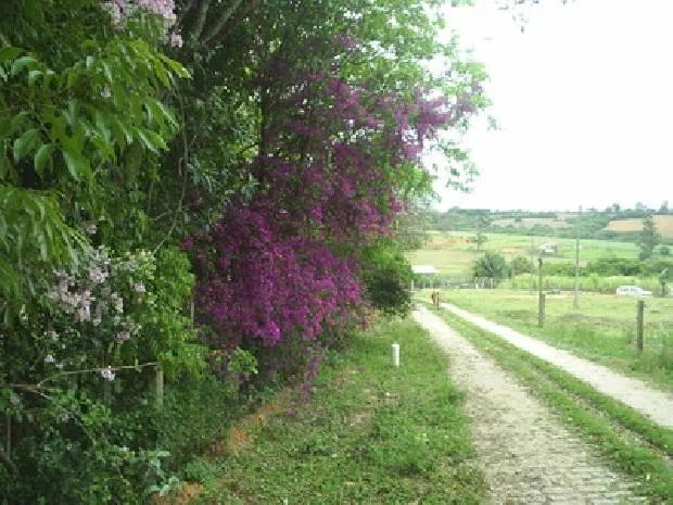 Propriedade Rural Sítio em Araçoiaba da Serra - Foto 2