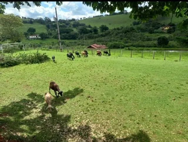 sitio em silvianópolis MG com 30 mil m² - Foto 5