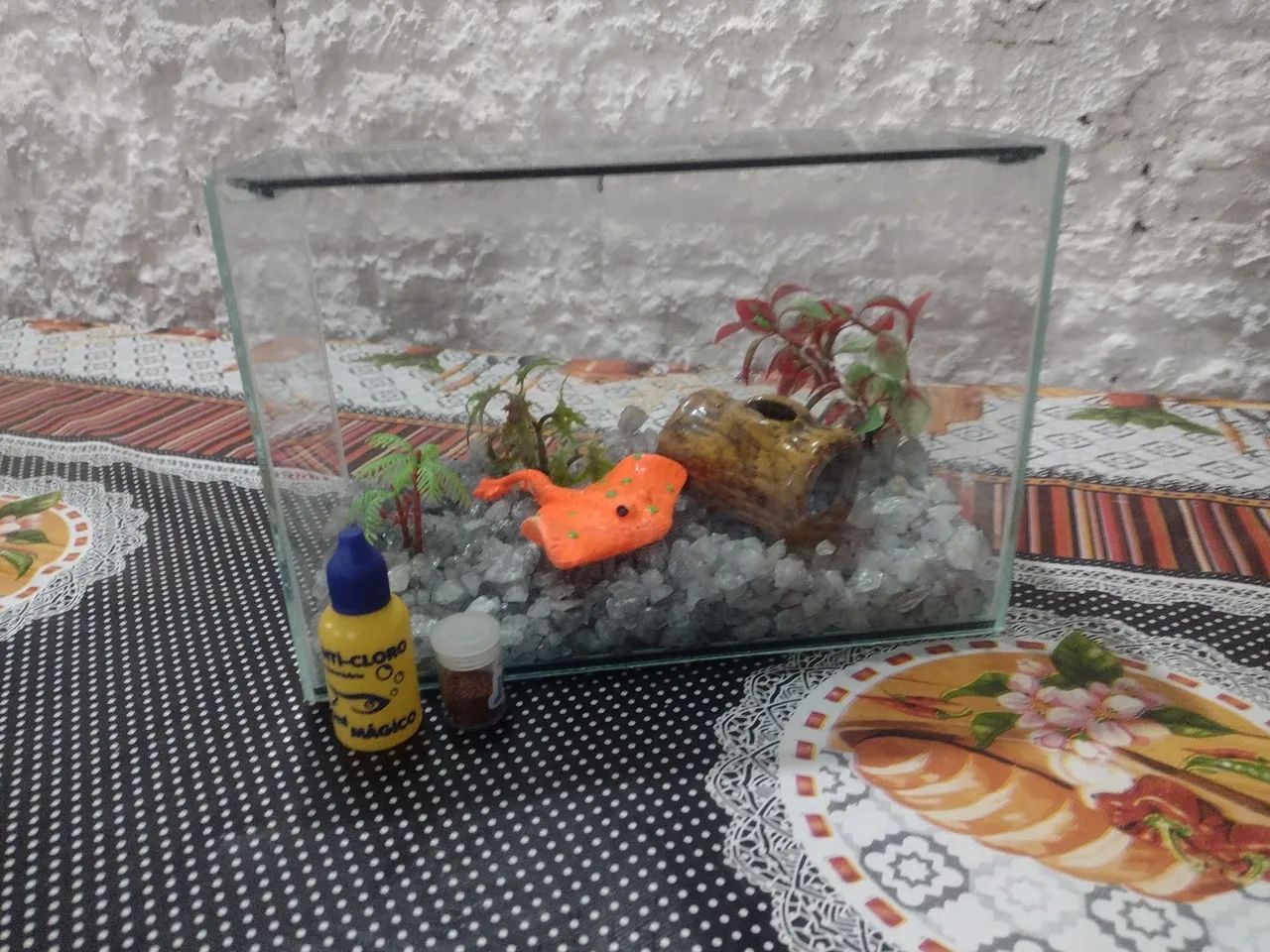 AQUÁRIO 5 LITROS COMPLETO+ ANTICLORO + RAÇÃO - ITAPETININGA  - Foto 2