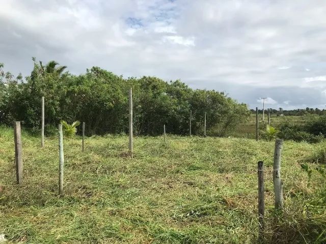 Lote na Avenida Central - Foto 3