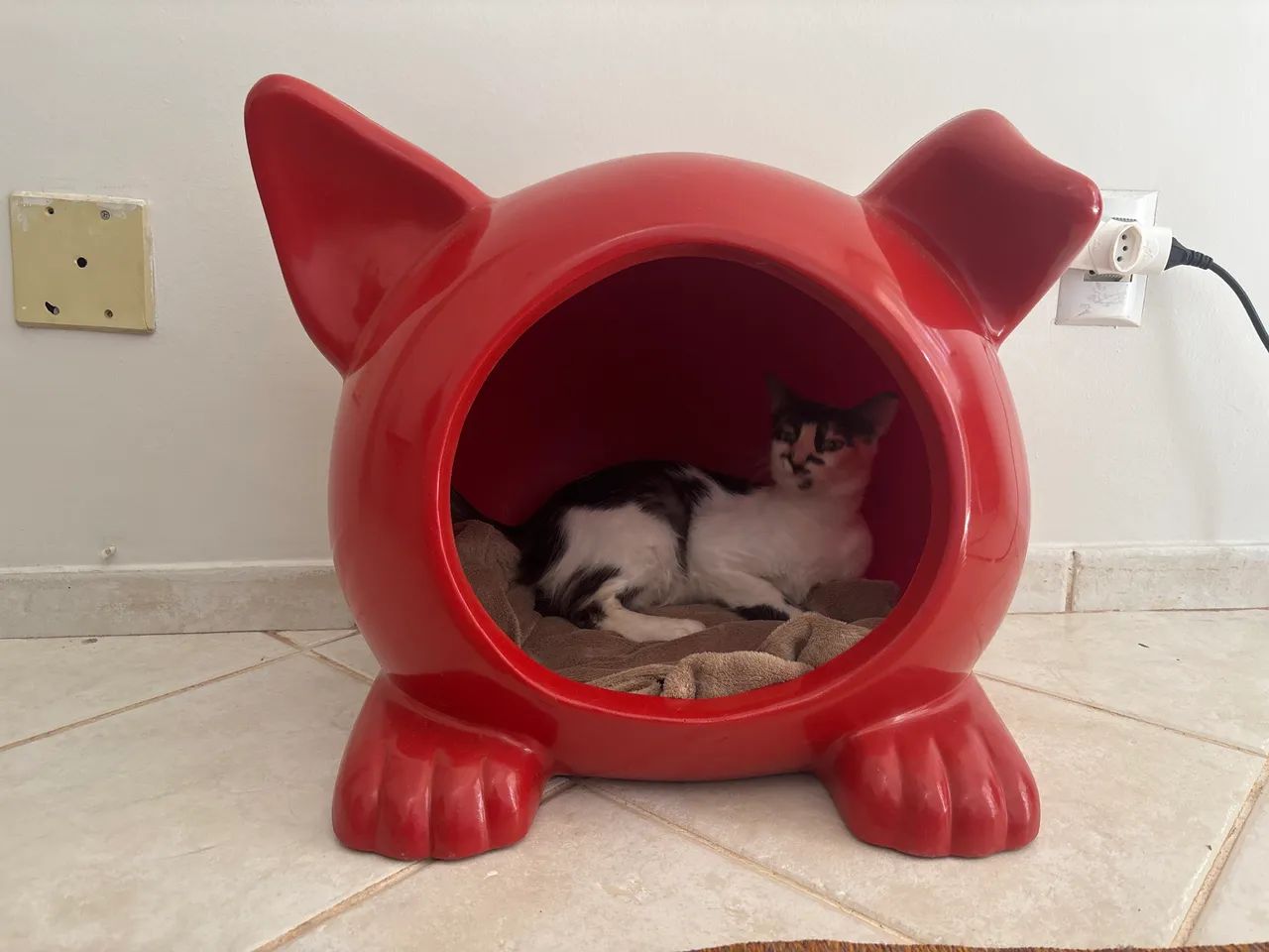 Casinha cachorro  - Foto 3