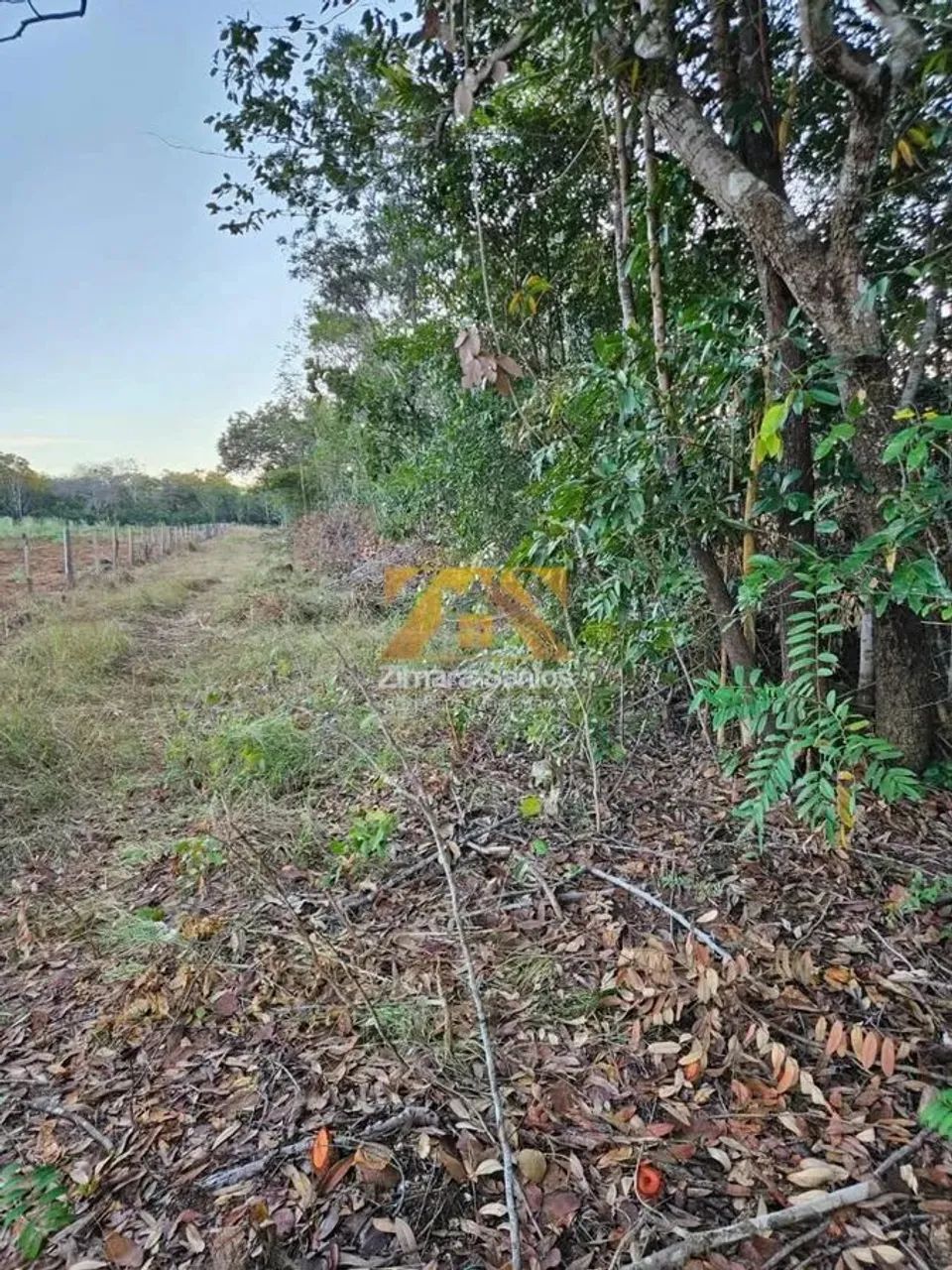 Chácara 2,5 Alqueires - Zona Rural - Próxima a Palmas - Porto Nacional/TO - Foto 5