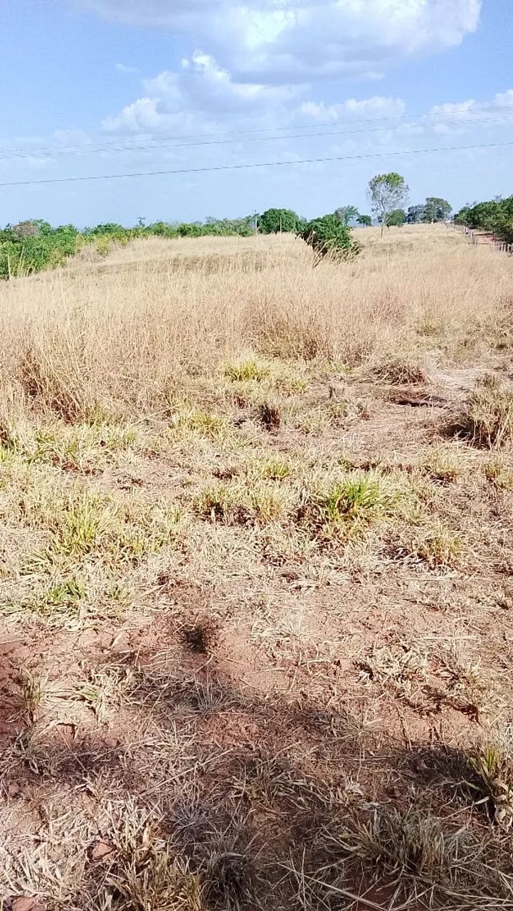 Venda Chácaras - Foto 3