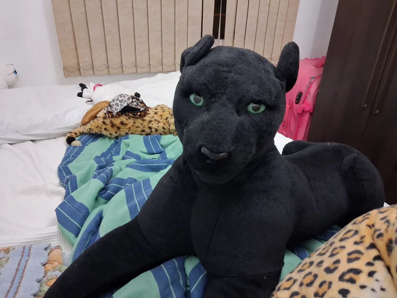 Pelucia  - Foto 2