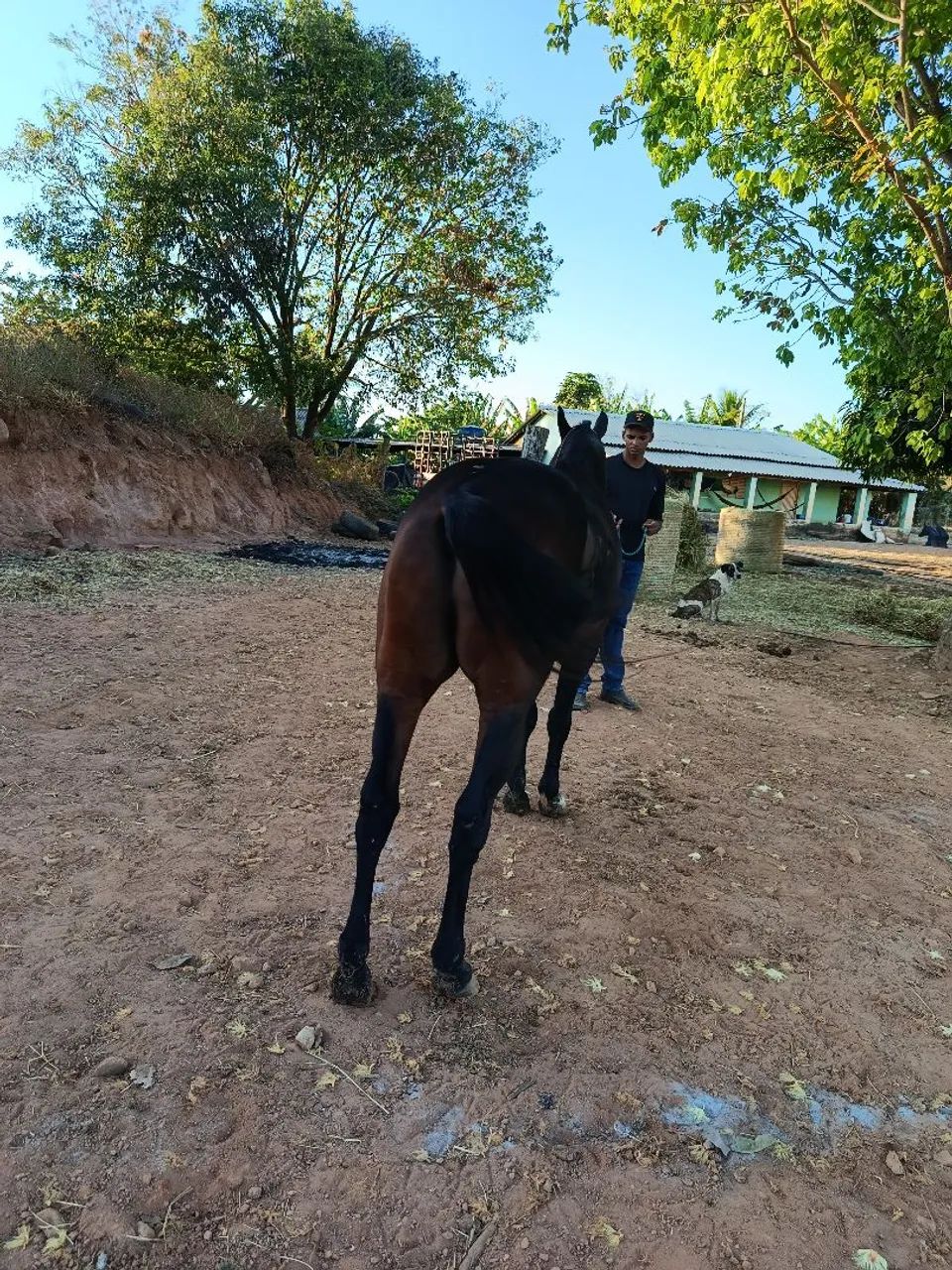vendo ou troco  - Foto 3