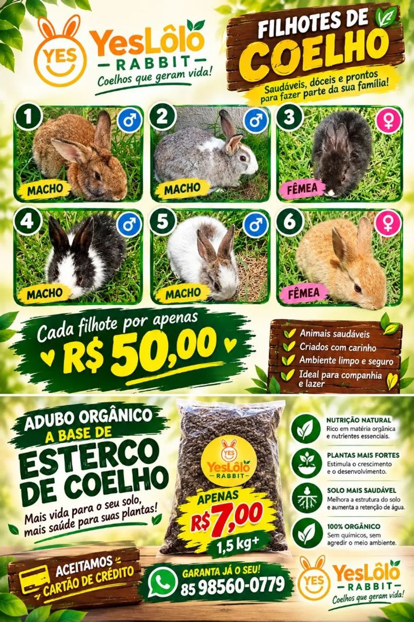 Coelhos 