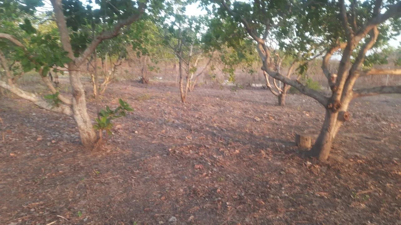 Vendo ou troco terreno em  horizonte 