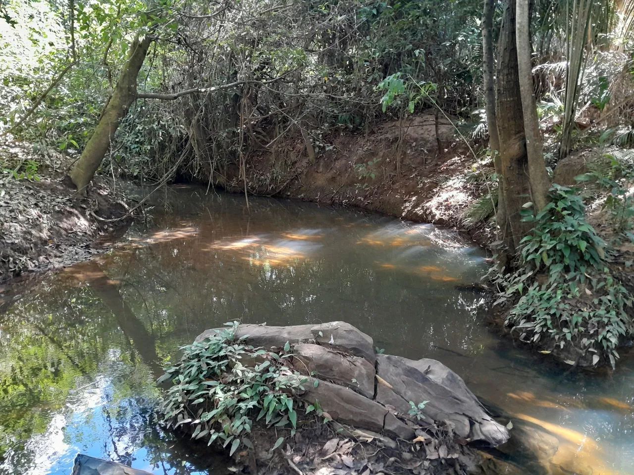 CHACARA DISTRITO DE SANTA ROSA DE LIMA PRÓXIMO DE FORMOSA E DO JK - Foto 7