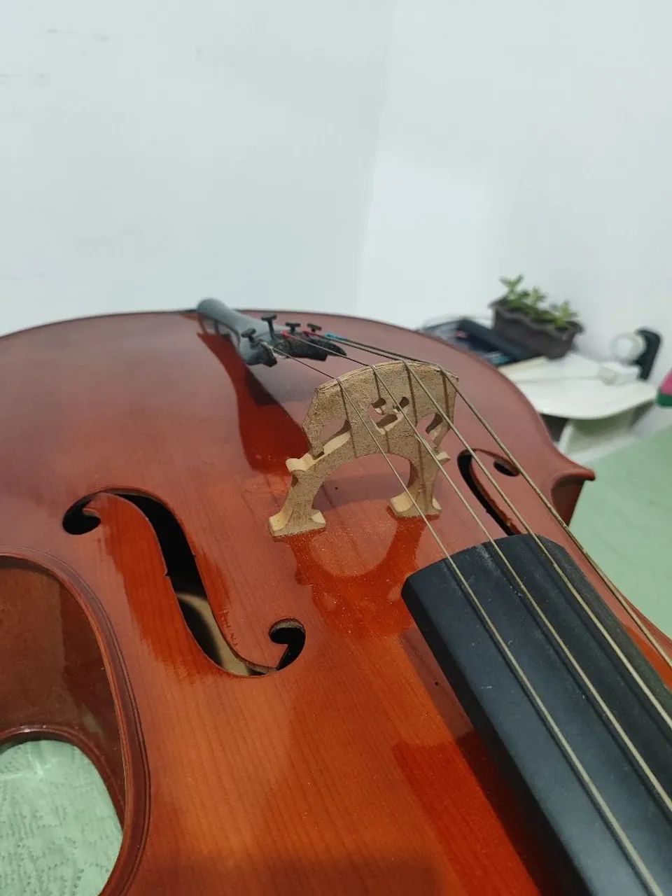 Violoncelo Parrot - Foto 3