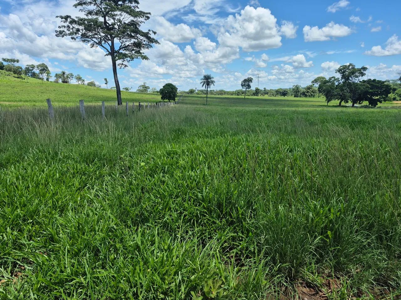  Margem Belém-Brasília! - Foto 2