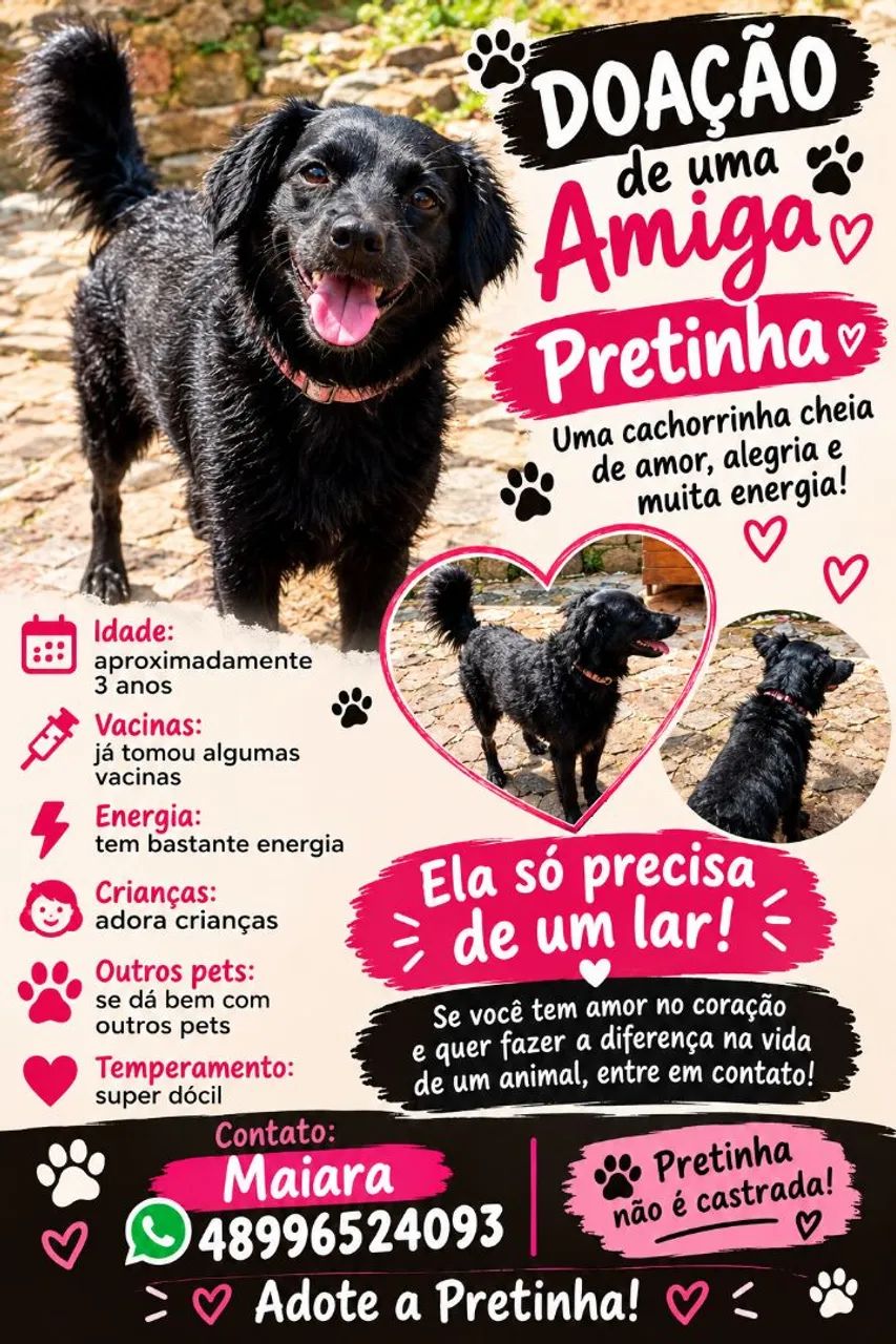 Doação 