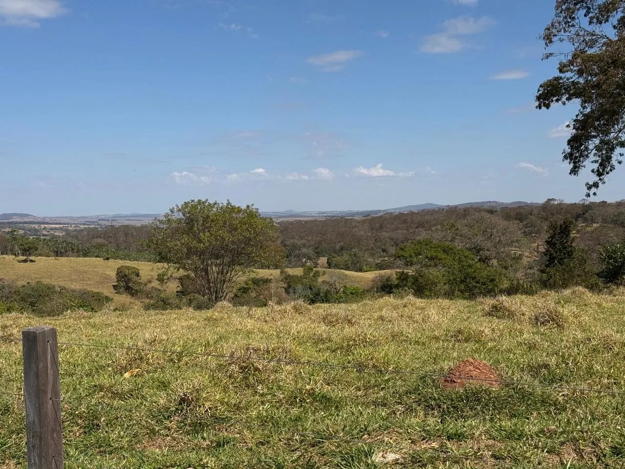 Chácara de 4.3 alqueires em Avelinópolis-Go  - Foto 3