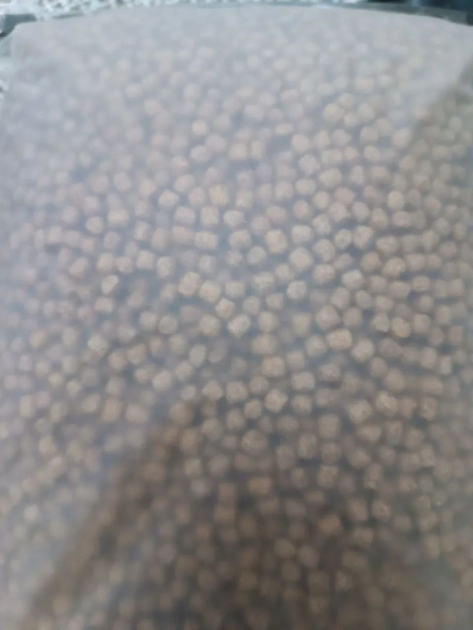 Ração peixe Oscar  - Foto 3