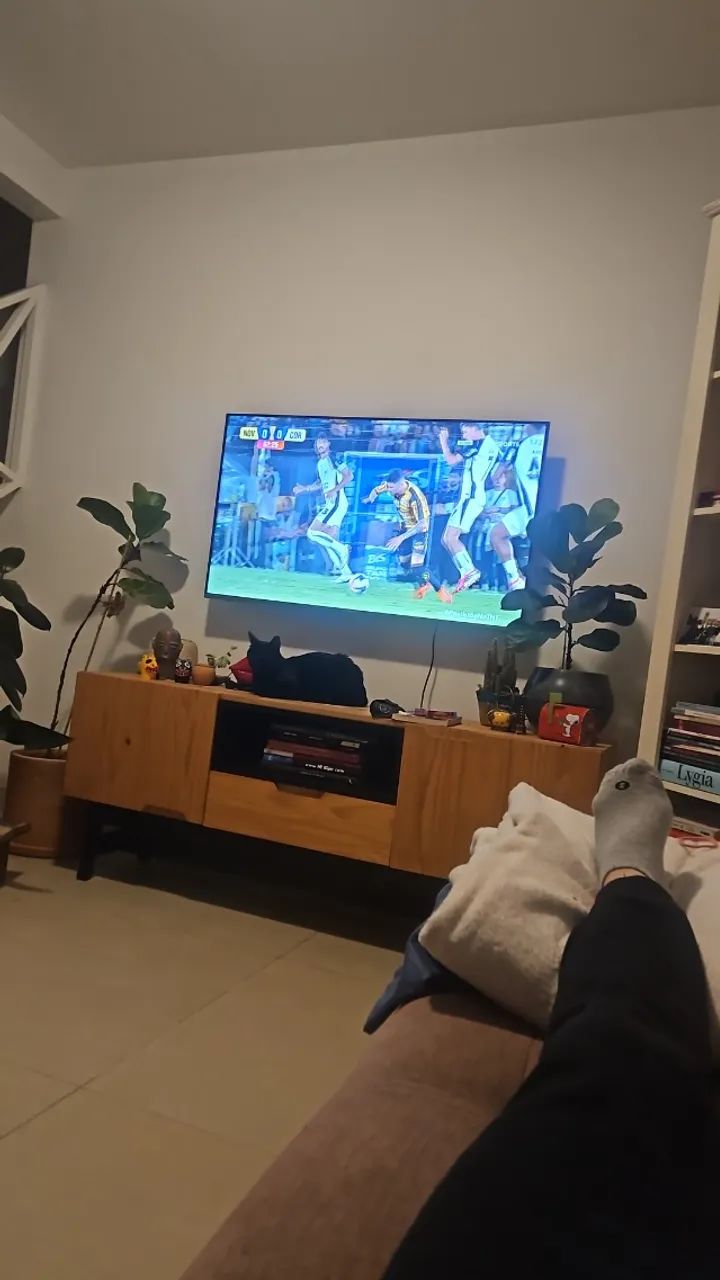 Tv Philco 50 Polegadas - absolutamente nenhum defeito. Com controle e suporte para parede