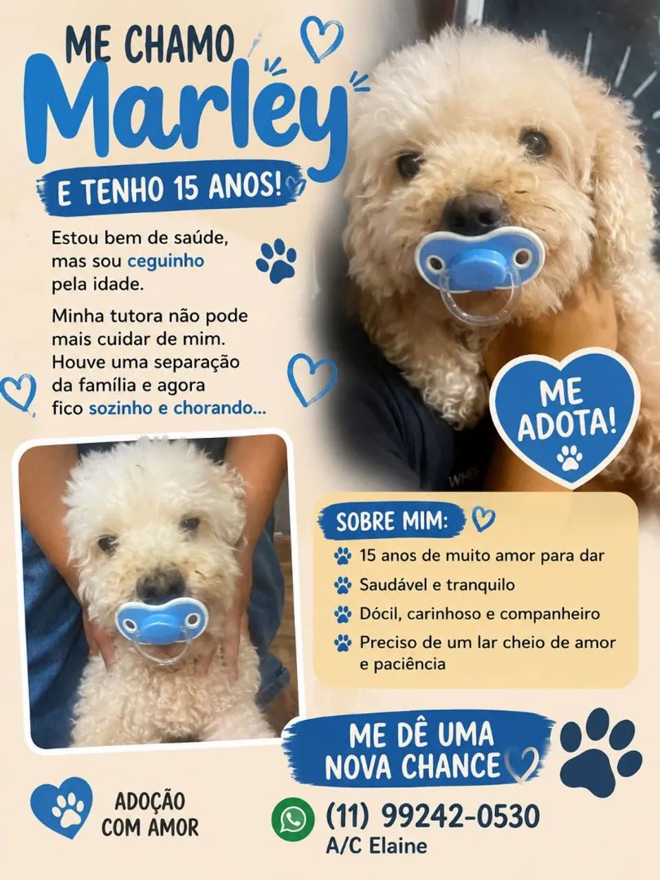 Adoção consciente e amor. - Foto 2